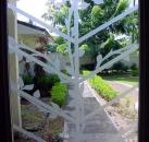 Single Vine