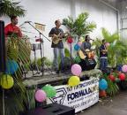 Ward Grand Opening Luau