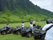 Exploring Jurassic Park
