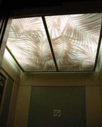 Palm Leaf design (After)