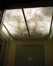 Palm Leaf design (After)