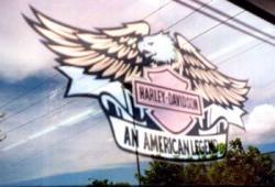 Logo- Harley Davidson