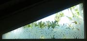 Transom